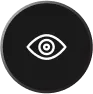 Vision Icon